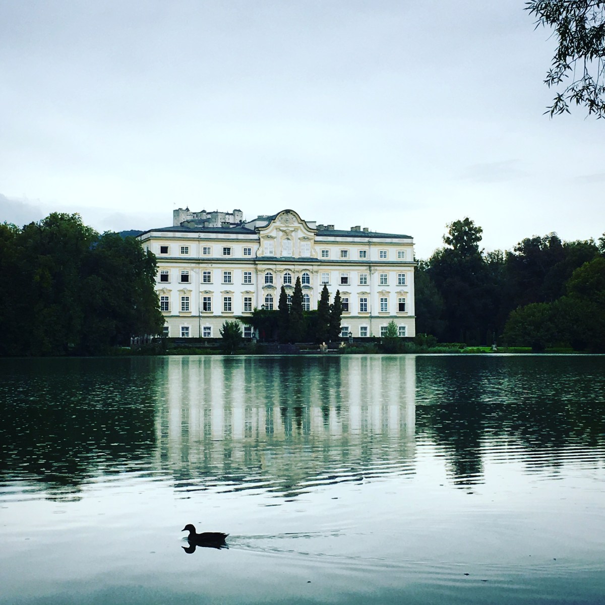 “I cannot tell you how much I long for music and&nbsp;color.”